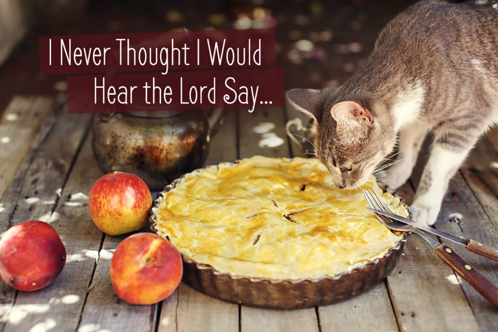 I never thought I'd hear the Lord say the cat is eating your pie by Terradez Ministries