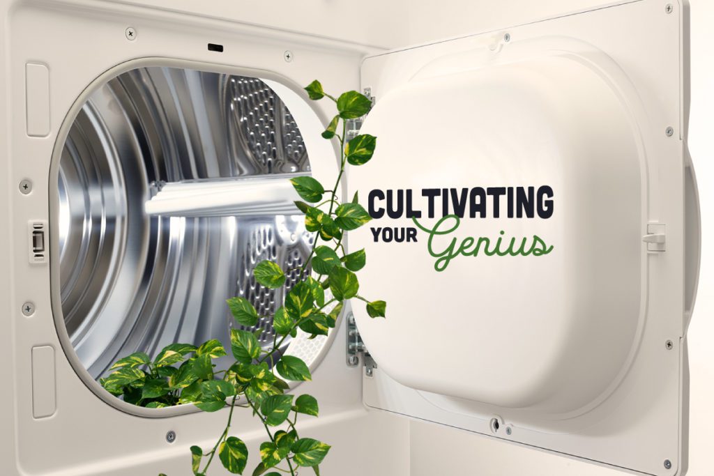Cultivating Your Genius by Terradez Ministries