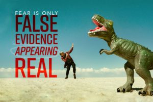 Fear is false evidence appearing real by Terradez Ministries